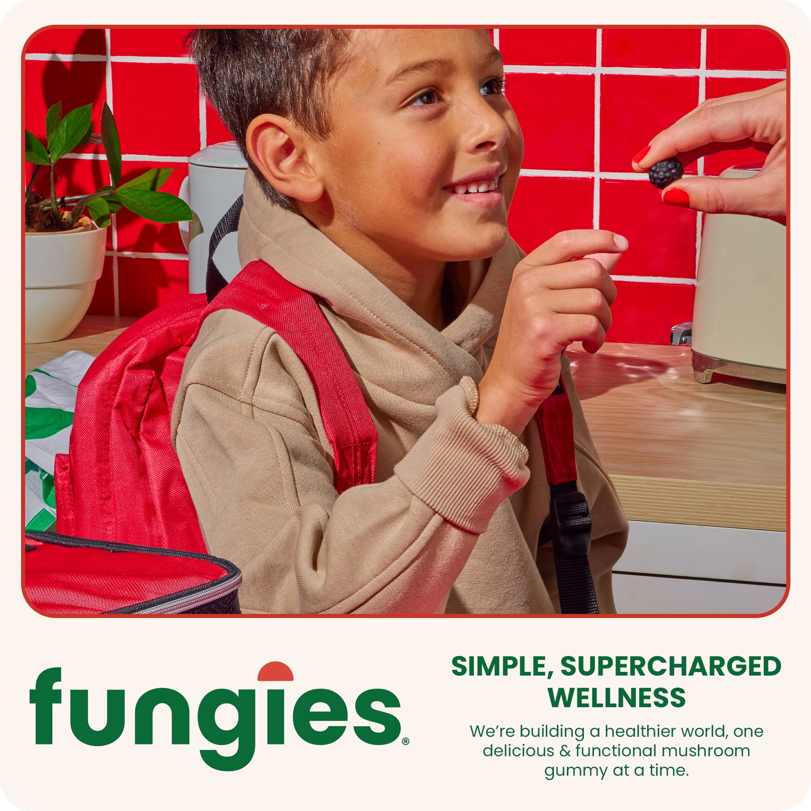 (3 pack) Fungies Lion's Mane Mushroom Gummies, Supports Brain Health, Focus