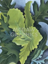 Green Oak Leaves, 1923 by Georgia O'Keeffe Art Print Tree Leaf Poster 11x14