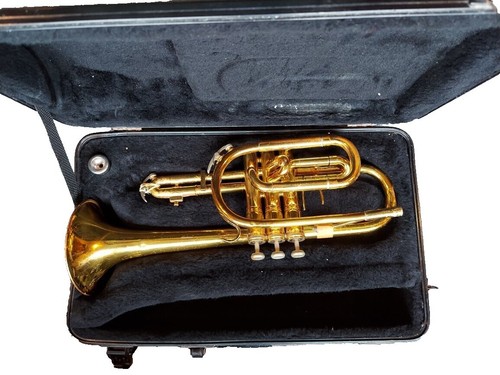 KING SNAKE Curtis /Brass Bridge Saddle | eBay