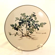 VILLEROY BOCH TEA TILE TRIVETT BOTANIC VACCINIUM myrtillus 8" ROUND wROOT LUXEMB