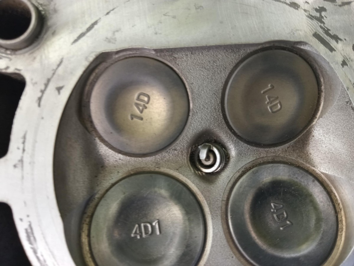 Suzuki Eiger 400 4x4 AUTOMATIC Engine Cylinder Head for sale