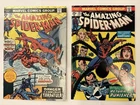 New ListingAmazing Spider-Man #134 & #135 First Tarantula & 2nd Punisher MVS intact 6.0-6.5