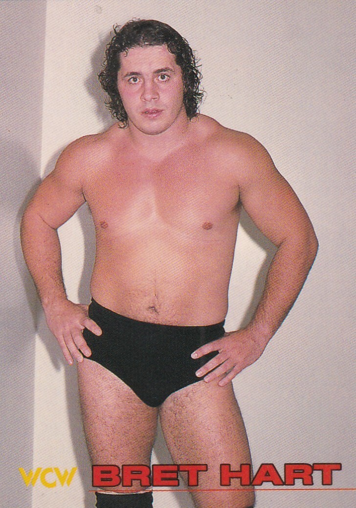 77 Bret Hart/The Hitman 1998 Bandai New Japan pro-Wrestling Card