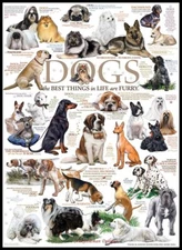 Dog Quotes - Chart Counted Cross Stitch Patterns Needlework DIY DMC Color 14 ct