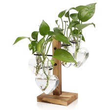 Indoor Plant Propagation Stations with Wooden Stand  Glass Vase for Hydroponics