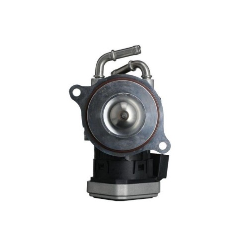 1X Agr-Ventil Valeo 703250 Passend FüR MERCEDES-BENZ-image