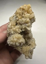 Fossil Coral Calcite Florida