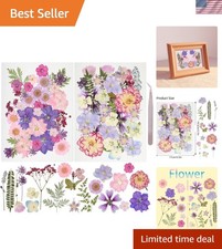 50Pcs Dried Pressed Flowers Resin Mould Real Pressed Flowers Natural Dry Leav...