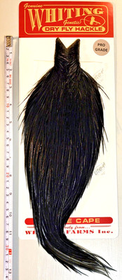 Whiting Dry Fly, Whole Cape, Black, Pro Grade, Fly Tying