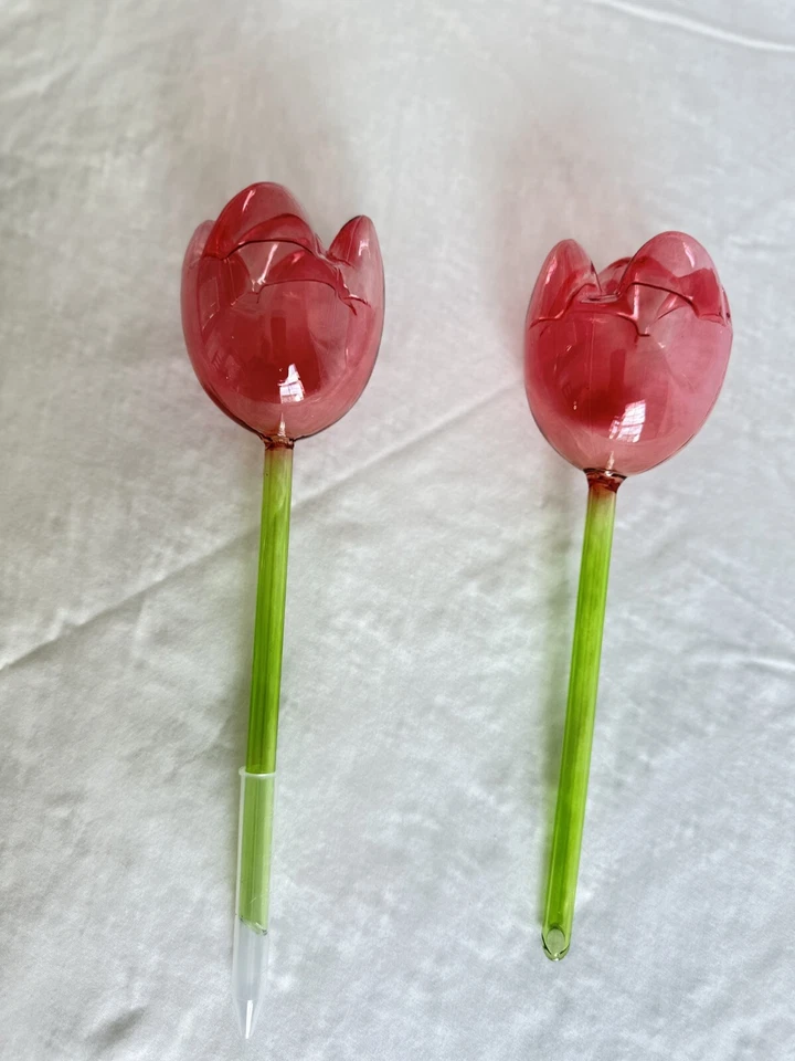 Большие розовые луковицы для полива тюльпанов Green Alcove - (2 луковицы и 2 наконечника) - Изображение 3 из 3