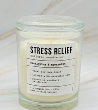 LEOBEN CO Stress Relief Eucalyptus & Spearmint Vegan Soy Wax Blend 9 oz Candle