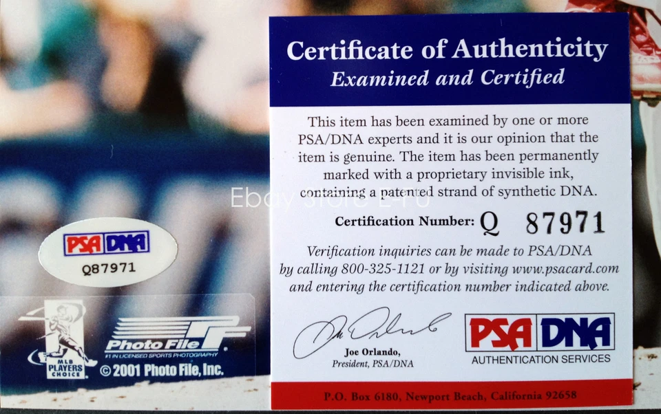 CC SABATHIA Signed 8x10 Photo Early Autograph PSA/DNA COA Certified Indians Auto - Image 3 of 3