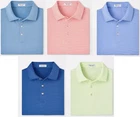 NEW MENS PETER MILLAR S/S JUBILEE STRIPE POLO GOLF SHIRT, MEDIUM, PICK COLOR