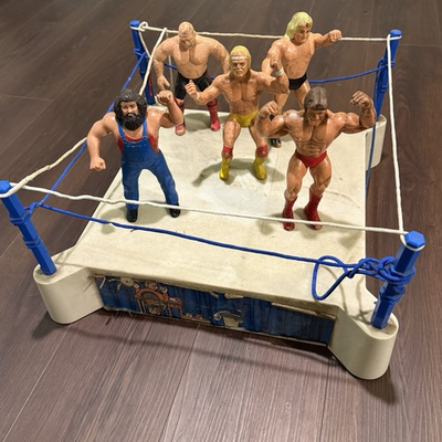 #ad vintage WWF LJN Titan Sports 8quot; Wrestling Superstars figures lot of 6 ring $224.00