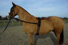 Rhinegold Horse Training and Breaking Roller/Side Rein Set | Black | 3 Sizes
