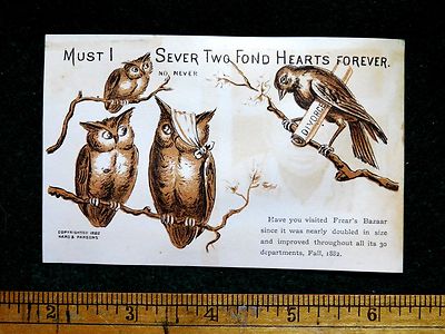 1882 Anthropomorphic Owls, Family Crow Divorce Frear's Victorian Trade F34