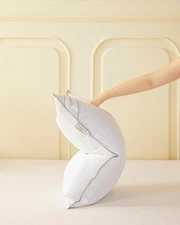 White Goose Down Feather Pillow Standard Goose Feather Down Pillow (20X26IN)