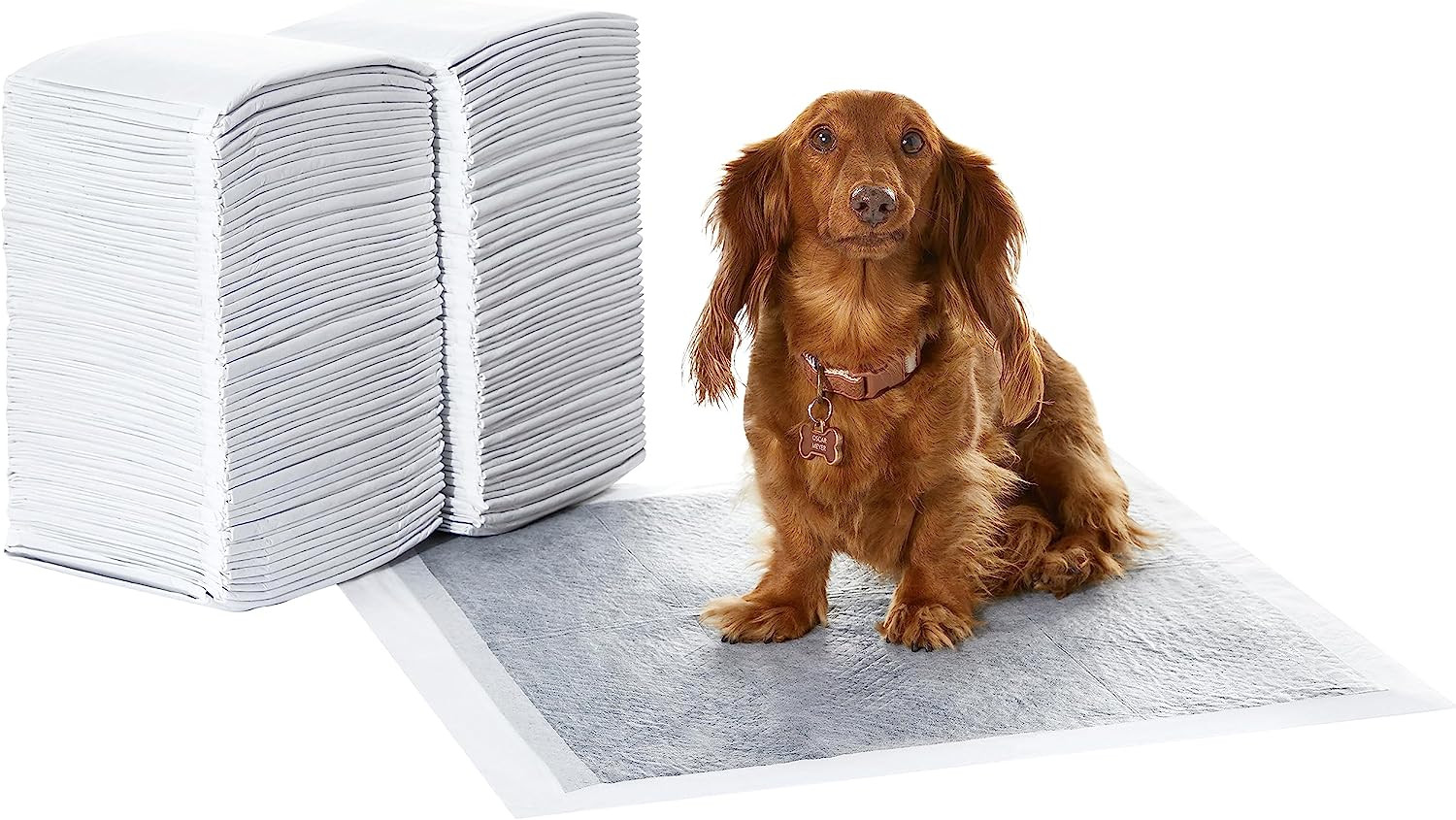 Tappetini al Carbone per Cani e Cuccioli | Controllo Odori Professionale