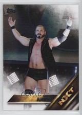 2016 Topps WWE Then Now Forever NXT Prospects Austin Aries #2 0v7