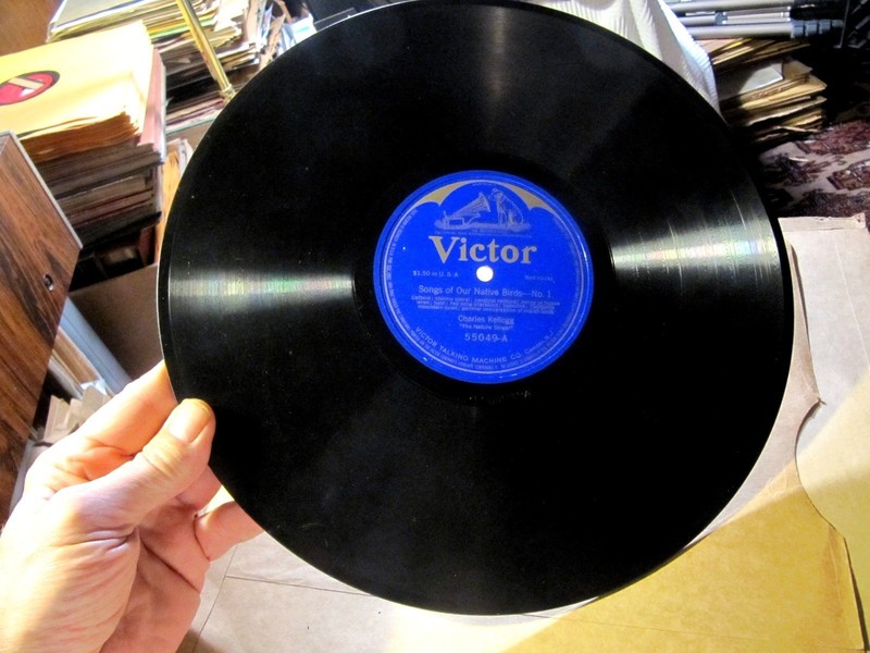 1915 BIRDS OF AMERICA SONGS Charles Kellogg Imitator Loon Cardinal Victor Record