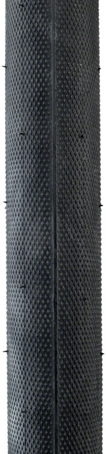 Continental Contact Speed Tire - 700 x 32, Clincher, Wire, Black, SafetySystem