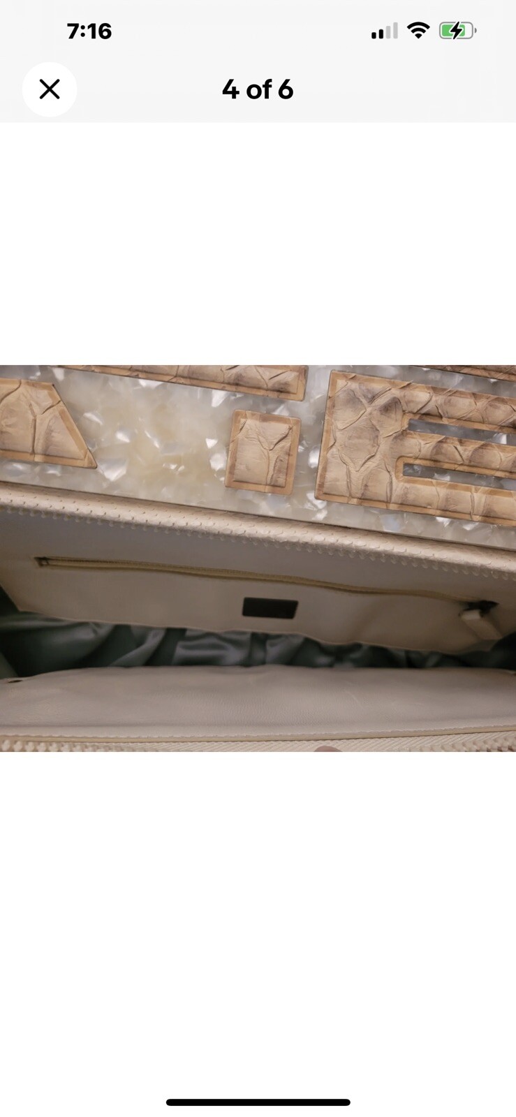 RARE Albino Python Snakeskin COLLECTION Hobo Clut… - image 4