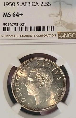 South Africa 1950 2 1/2 Shillings RARE Low Mtg 5,076 Struck NGC 64÷ Luster LV