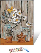 HIVIEW Paint by Numbers for Adults Canvas DIY Oil Painting Framed, Lawn Daisy