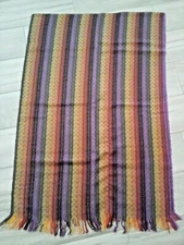 Women Multi Color Striped Woven Fringed Shawl Scarf     Size 72x24 1/2