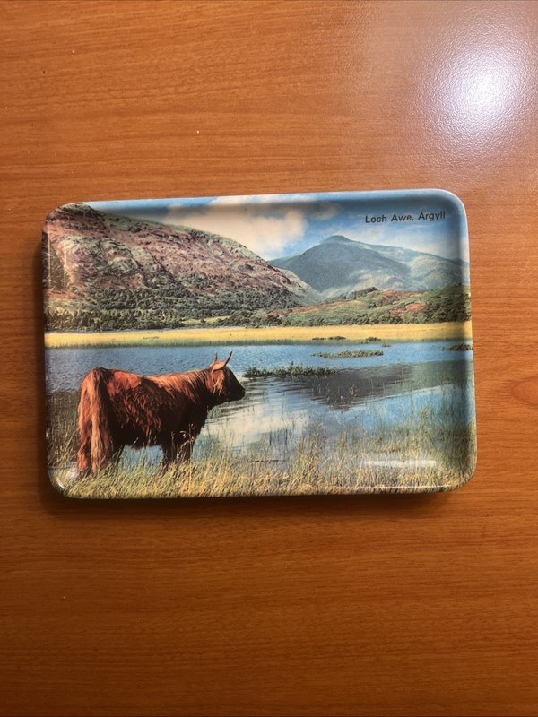 Hairy Cow Coo Scotland Mauchline Ware? Loch Awe Argyle Trinket Tray 3.5” X 5.5”