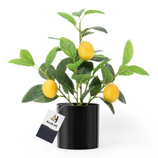 14.6 Artificial Mini Lemon Tree, Potted Plants, Fake, Black Pot, Kitchen