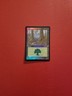 MAGIC THE GATHERING ARENA LEAGUE - FOREST FOIL PROMO CARD - 1999 NM