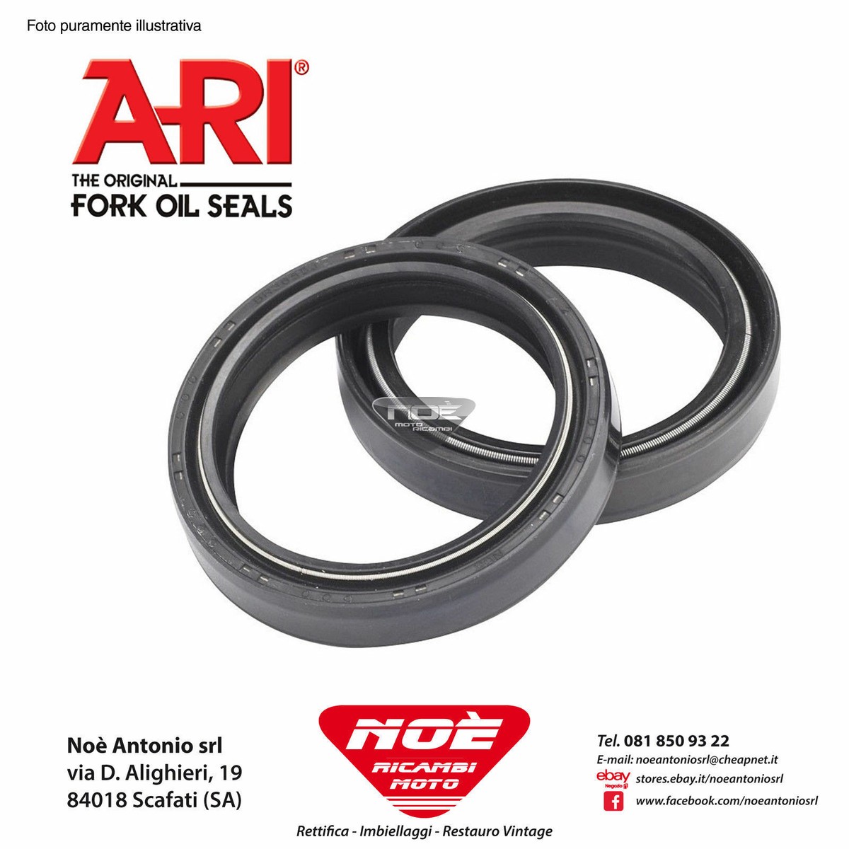 ARI 56 CP Paraoli forcella per SUZUKI BANDIT 600 TCY