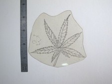 vtg 1960s 1970s Tattoo Flash acetate stencil Weed Pot Leaf signed v3 WEED1