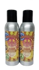 Smoke Odor Exterminator Sandalwood 7 oz Large Spray Set of Two Cans