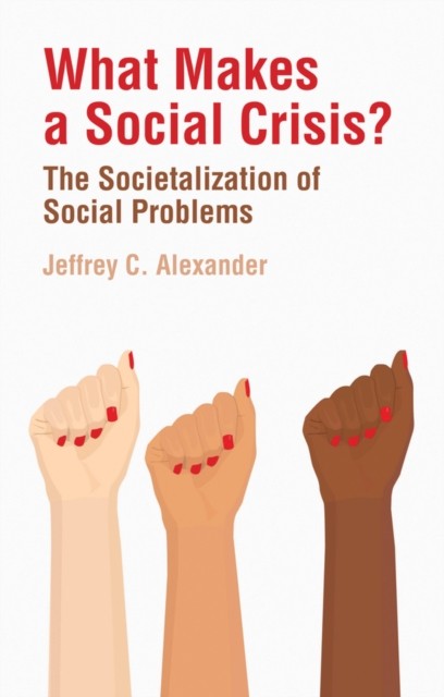 What Makes a Social Crisis? by Jeffrey C.  Alexander (Paperback Book)