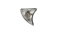 Zugelassenes Rechtes Seitenlicht - Iveco - Stralis 2013 - 5801572018 - 580175510