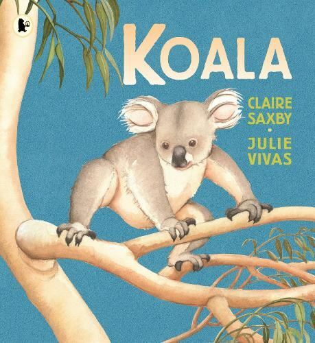 Koala, by Saxby, Claire, New Book