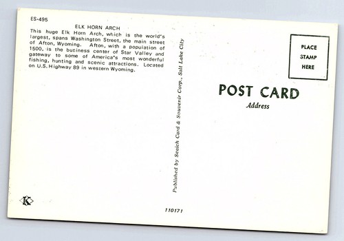 Afton Wyoming Elk Horn Arch Washington Street Postcard D429 - Picture 2 of 2
