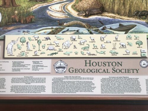 VINTAGE "Gulf Coast Ice Age" Prehistoric Educational Animal Poster 30"x40" Frame - Picture 5 of 7
