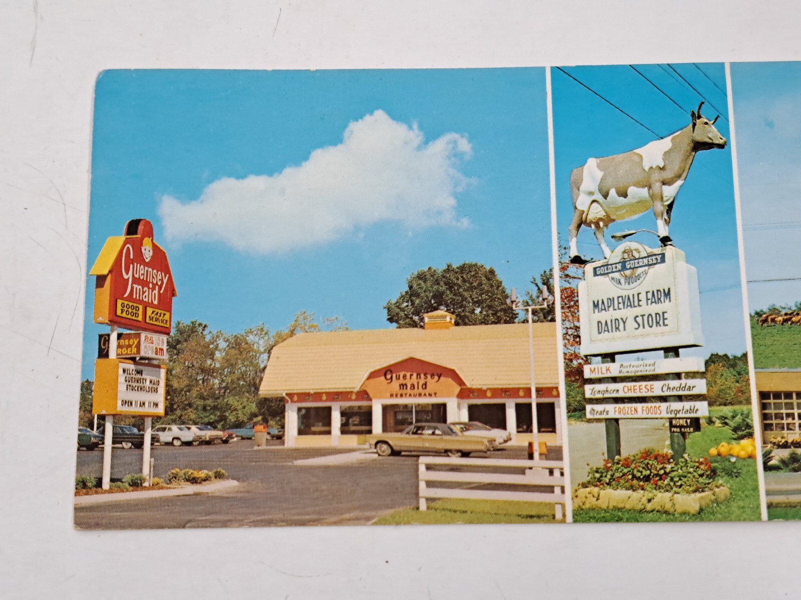 Vintage Postcard. Maplevale Farm and Guernsey Maid Restaurant