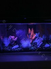 LED Aquarium Lights 20 Colors and Motion Options 10 inch Line Strip w/Remote
