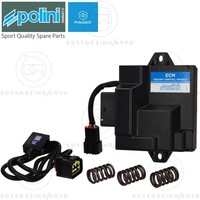 Polini 171.0020 ECU ECM Piaggio Liberty 50 4T Iget 3V Ie 2021-2024
