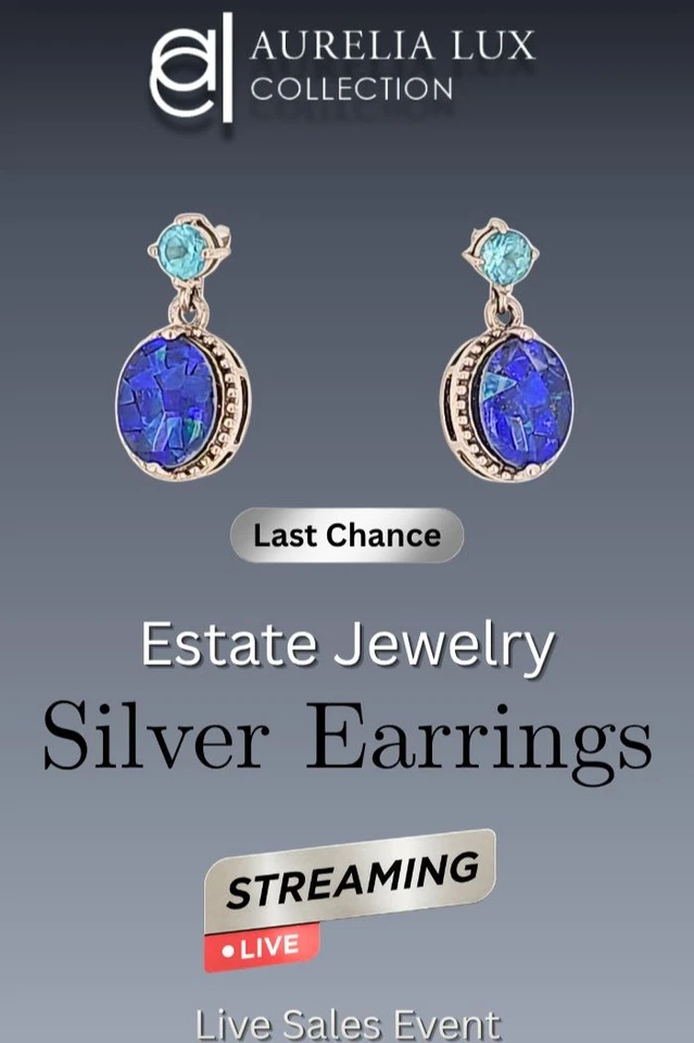 Ebay Live - Silver Earrings