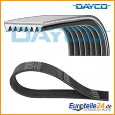 V-ribbed belt Dayco 7pk2872 for Ford Transit bus