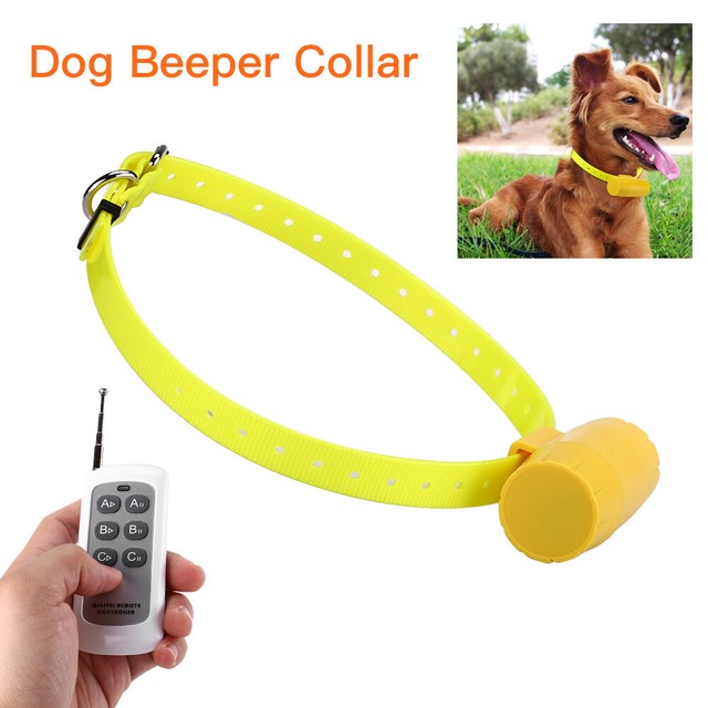 beeper dog