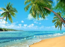 7x5FT Tropical Beach Palm Tree Backdrop Blue Sea Sky Summer Luau Party Decor