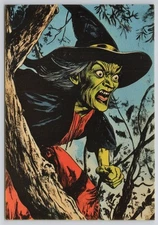 Witch Halloween Image Card 4x6 New 2025 Blank Back Card