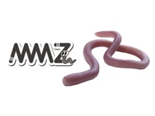 OSP MMZ Soft Plastic Worm - Choose Size / Color