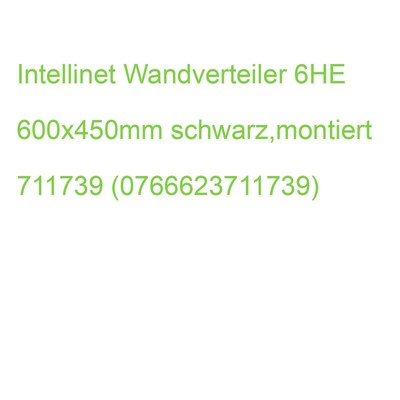 INTELLINET Wandverteiler 6HE 600x450mm schwarz,montiert 711739 (0766623711739)